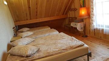 Фото номера Двухуровневый номер-студио Отели типа «постель и завтрак» Sunny Beaver B&amp;B г. Тракай 2