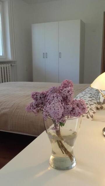 Фото номера Апартаменты Апартаменты Trakai White Apartments г. Тракай 48