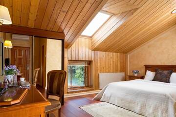 Фото номера Двухместный номер с 1 кроватью и доступом в спа-центр Отель Esperanza Resort &amp; SPA г. Тракай 15